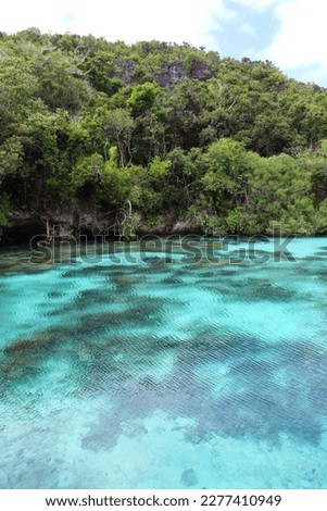Natural aquarium, between Tadine and Cengéïté, in the south of Maré Island (Nengone), New Caledonia. Royalty-Free Stock Photo #2277410949
