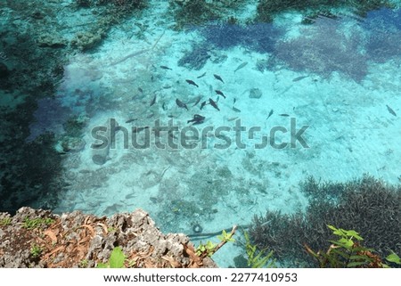 Natural aquarium, between Tadine and Cengéïté, in the south of Maré Island (Nengone), New Caledonia. Royalty-Free Stock Photo #2277410953