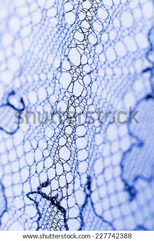 Close up photot of beautiful Italian lace