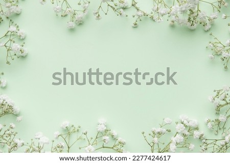 White gypsophila flowers or baby's breath flowers  on green  background.  Copy space.