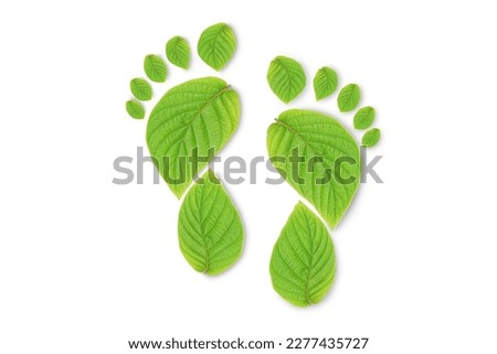green leaf growing footprints, co2 symbol isolated on White Background. Reduce CO2 emission concept.Clean and friendly environment without carbon dioxide emissions.