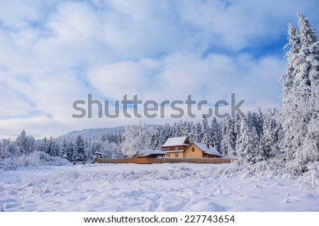 Winter landscape with snow in mountains Carpathians, Ukraine 