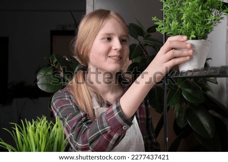 A girl takes care of plants. The concept of planting plants, caring for plants, growing seedlings.