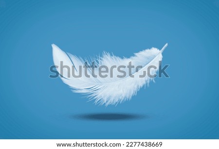 Abstract White Bird Feather Falling in The Air. Float Feather
 Royalty-Free Stock Photo #2277438669