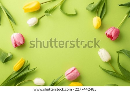 Spring holidays concept. Top view photo of pink yellow and white tulips on isolated light green background with copyspace in the middle