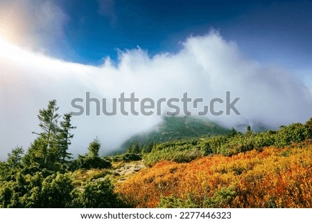 A dense cloud covered the top of the mountain on a sunny day. Location place Carpathian mountains, Ukraine, Europe. Gorgeous photo wallpaper. Explore the world's. Discover the beauty of earth.