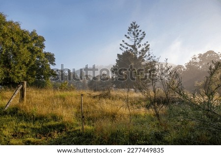 An early morning landscape in rural Australia showing the sun breaking through, with dewdrops shimmering on a wire fence, spider webs, tall yellow grass, shrubs, and misty fog in the background. Royalty-Free Stock Photo #2277449835