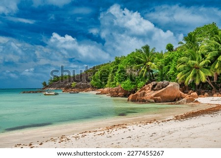 Palms along the beach of Seychelles Islands.