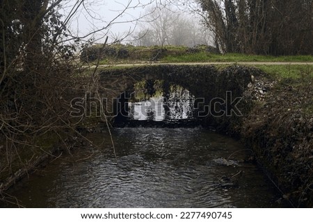 Small  bridge over a stream of water under a group of bare trees on a foggy day in the italian countryside