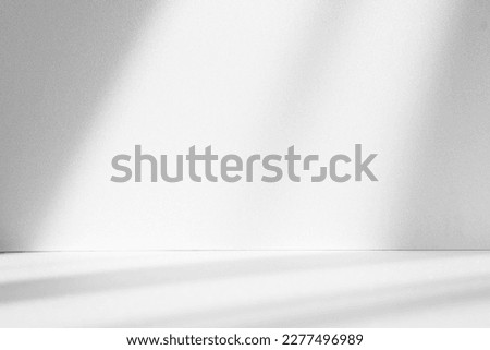 Abstract white studio background for product presentation. Empty room with shadows of window. Display product with blurred backdrop. Royalty-Free Stock Photo #2277496989