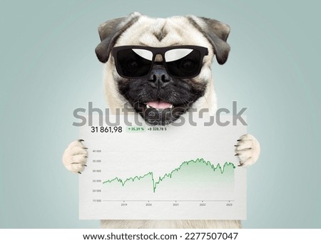 Cool successful business trader funny pug dog with sunglasses holding a white card with statistics and sales analytics. Business, crypto and investment, creative idea. Growing the economy, concept  Royalty-Free Stock Photo #2277507047