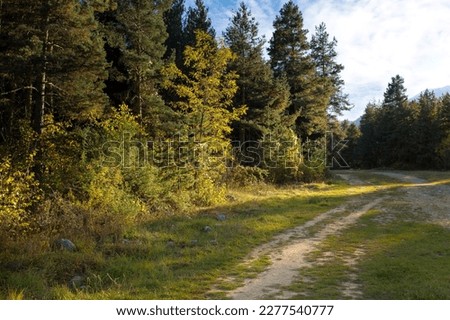Bansko ski road, Bulgaria summer autumn landscape with colorful trees and Pirin mountains
