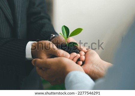 Business hands holding green plants together are the symbol of green business company. agriculture and collaboration in a green business. Ecosystem and Organization Development Cooperation. Royalty-Free Stock Photo #2277546291