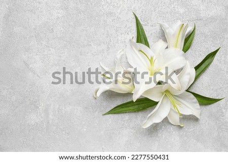 White lily flowers on light background Royalty-Free Stock Photo #2277550431