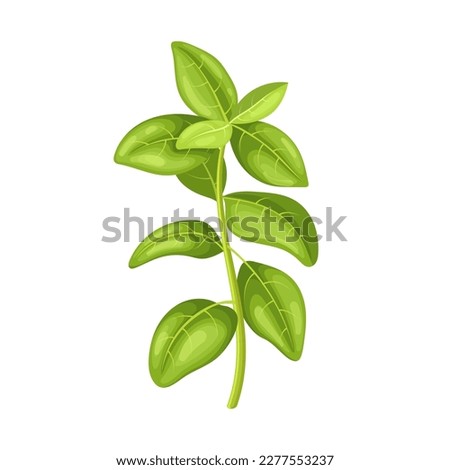 oregano green cartoon. herb food, spice leaf, plant ingredient, seasoning , fresh branch, herbal oregano green vector illustration Royalty-Free Stock Photo #2277553237