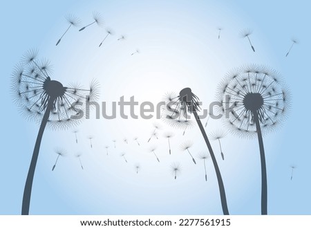 Late Summer and Flying Seeds. Dandelion flower on blue sky. Vector outline illustration.