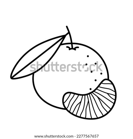 Mandarin, tangerine, clementine. Whole citrus fruit with leaf and slice. Hand drawn icon in sketch doodle style. Isolated vector illustration.