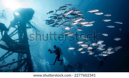 Underwater shot of HTMS Chang wreck ship with school of jack fish and scuba divers. Ship built for the US Navy during World War II. A scuba diving shipwreck dive site near Koh Chang in Trat, Thailand. Royalty-Free Stock Photo #2277602341