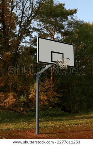 Basketball backboard with net on court near trees