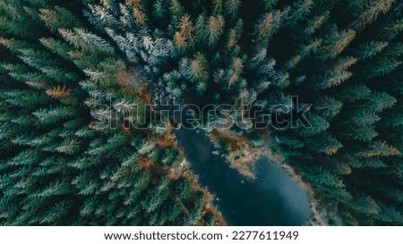 Drone shots of forest landscape