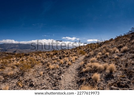 Marufo Vega Trail Heads Uphill With the Cliffs Of Mexico In The Distance in Big Bend Royalty-Free Stock Photo #2277619973
