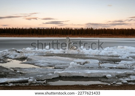 An ice floe in the form of a shark's fin stands against the background of the movement of ice drifting water on the Vilyui River. Long exposure.
