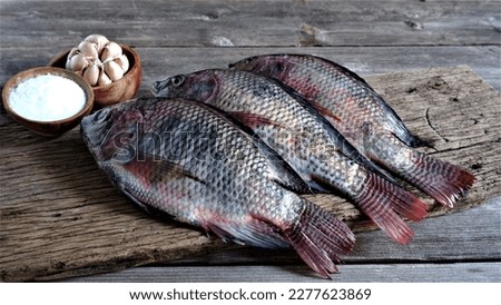 Tilapia. Fresh Tilapia fish on board with a cup of salt, and garlic. Oreochromis Niloticus. Freshwater Fish. In Indonesia also known as Ikan Nila or Mujair. Farmed Fish. Tribe Tilapiine cichlid. Royalty-Free Stock Photo #2277623869