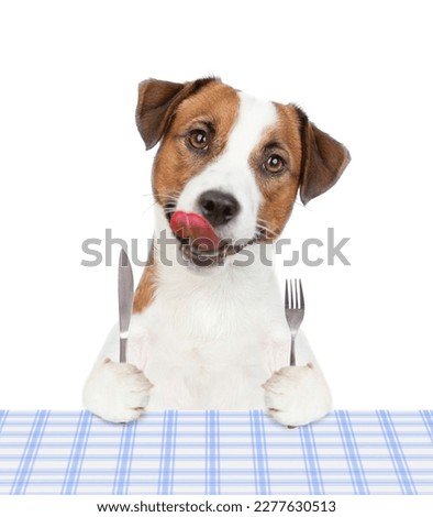 Hungry Jack russell terrier puppy holds fork and knife, sits by the table ready for dinner. isolated on white background Royalty-Free Stock Photo #2277630513
