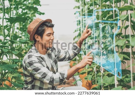 Smart farming technology,business,industry agriculture food concept,young farmer using interface screens in greenhouse,checking order online,monitor agricultural products,with artificial intelligence 