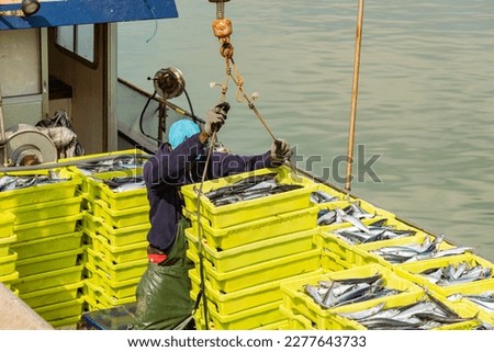 fishing boat in the middle of the mackerel season unloading the yellow boxes in the harbour, person with crane at work  Royalty-Free Stock Photo #2277643733