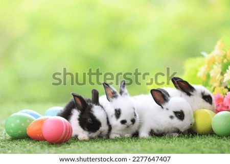 Lovely bunny easter fluffy baby rabbit eating green grass with a basket full of colorful easter eggs on green garden nature with flowers background on warmimg day. Symbol of easter day festival.