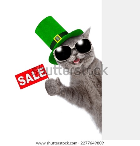 St. Patricks Day.Happy cat wearing  sunglasses and green hat of the leprechaun shows signboard with labeled "sale" behind empty white banner. isolated on white background