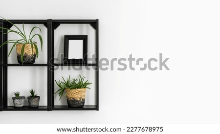 template picture frame and houseplants on wall shelf for home decor at copy space white background