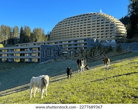 AlpenGold Hotel - Quiet luxury mountain hotel in the skiing paradise of Davos (Ruhiges Luxus-Berghotel im Skiparadies Davos) - Canton of Grisons, Switzerland (Kanton Graubünden, Schweiz)