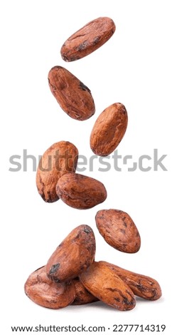 Cocoa beans are falling on a pile close-up on a white background. Isolated Royalty-Free Stock Photo #2277714319