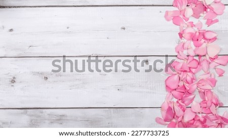 Pink roses on white wooden background. copy space