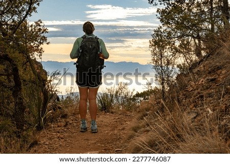 Woman Looks at Cloud Inverstion in Boot Canyon from trail in Big Bend Royalty-Free Stock Photo #2277746087