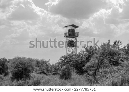 Water reservoirs in Amboseli National Park in Kenya surrounded by trees and bushes, black and white photography
