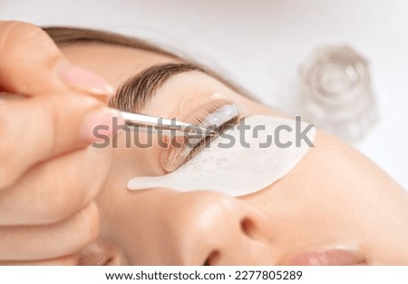 Make-up artist makes the procedure of lamination and dyeing of eyelashes to a beautiful woman in a beauty salon. Eyelash extensions. Eyelash lifting Royalty-Free Stock Photo #2277805289