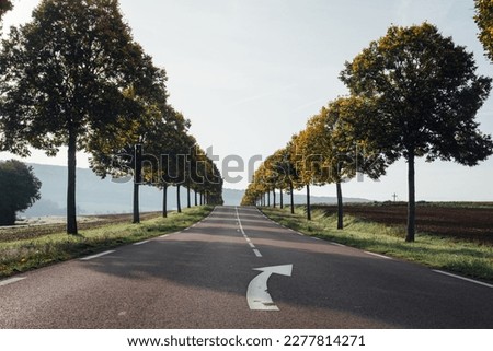 a rolling road in the fall countryside. A road with dots and a drop-off arrow. A tree-lined road. A road in France. Royalty-Free Stock Photo #2277814271
