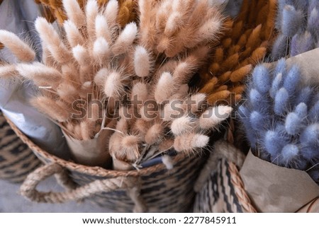 Dry ornamental grass Lagurus Ovatus or bunny tails or tan pom pom plants in beige, brown, blue colors at flower shop. Horizontal. Close-up. View from above. Selective focus. Royalty-Free Stock Photo #2277845911
