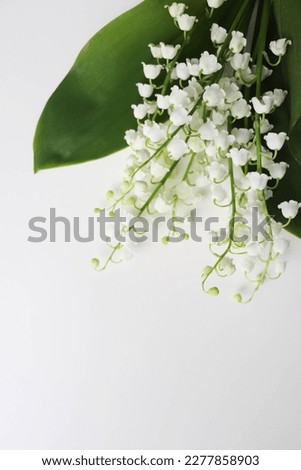 greeting card layout. a small bouquet of lilies of the valley and a white blank with space for text