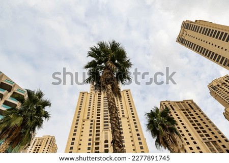 Dubai's contemporary architecture, in conjunction with palm trees, seen through a wide-angle lens