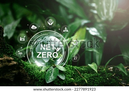 Net zero and carbon neutral concept.Globe Glass with Net zero icons In Green Forest With Sunlight. net zero greenhouse gas emissions target Climate neutral long term strategy on a green background. Royalty-Free Stock Photo #2277891923