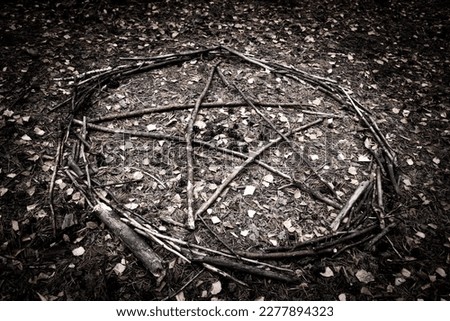 a pentagram laid out of twigs on autumn leaves
