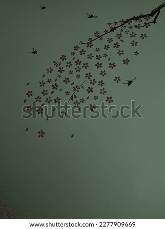 wall wallpaper bird’s nature wild