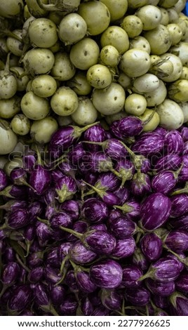 A Colorful Picture of Vegetables. 