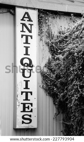 Antique shop sign near old wooden garden wall overgrown with a ivy shrub. Aged photo. Black and white.