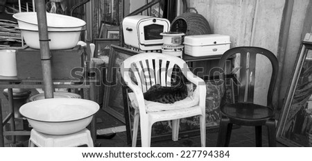 Junk kitchenware and cat, as hostess, sitting on chair at the flea market  in Jaffa (Israel).  Homelessness concept. Aged photo. Black and white.