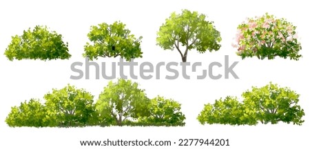 Vector watercolor blooming flower tree side view isolated on white background for landscape and architecture drawing, elements for environment and garden,botanical elements for section in spring  Royalty-Free Stock Photo #2277944201